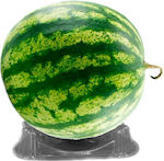 Watermelon support base transparent