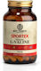 Bio Tonics Sportex L-Valine 565mg Ειδικό Συμπλήρωμα Διατροφής 60 κάψουλες