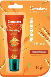 Himalaya Wellness Nourishing Lip Balm 10gr Himalaya Wellness Nourishing Lip Balm 10gr