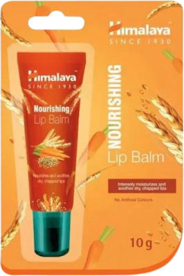 Himalaya Wellness Nourishing Lip Balsam 10gr