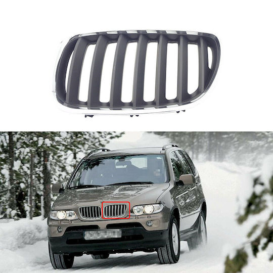 Carner Διακοσμητική Μάσκα Αυτοκινήτου BMW E53 / X5 / X5 (E53)