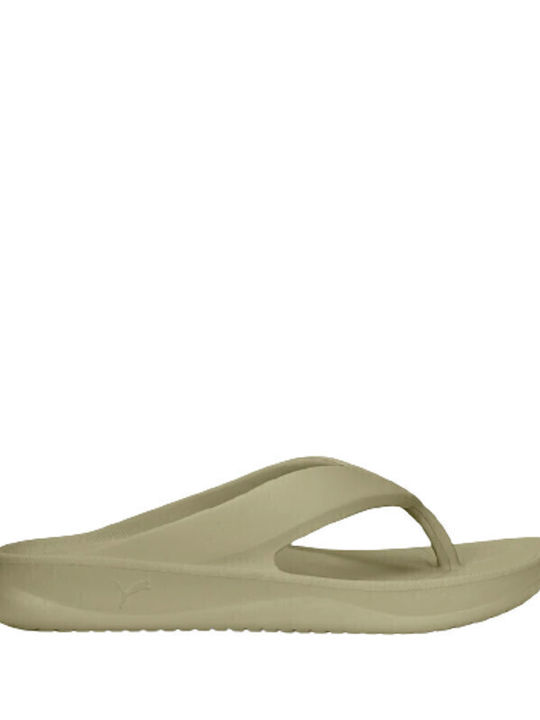 PUMA Flip Flops Birch Tree