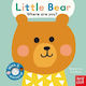 Little Bear, Where are you?