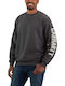 Sweatshirt Gray