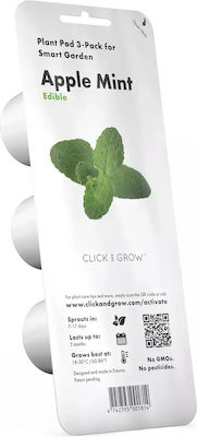 Click and Grow Apple Mint Seeds Mint 3pcs