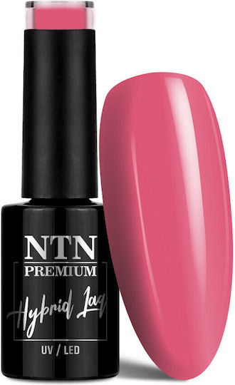 NTN Premium Design Your Style Ημιμόνιμο Βερνίκι Νυχιών 39 5ml