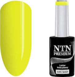NTN Premium Sorbet NTN Premium Sorbet