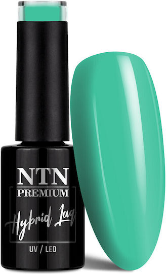 NTN Premium Celebration Ημιμόνιμο Βερνίκι Νυχιών 163 5ml