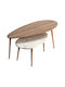 Oval Couchtisch Elips Holz Oak / Beige B116xT46xH46cm