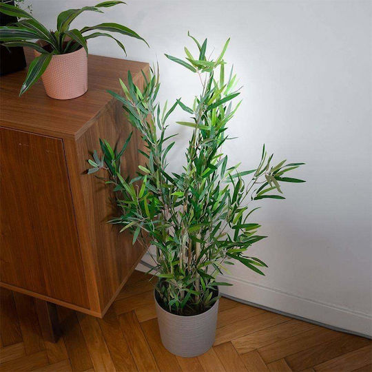 Bamboo in Pot JK Home Decoration