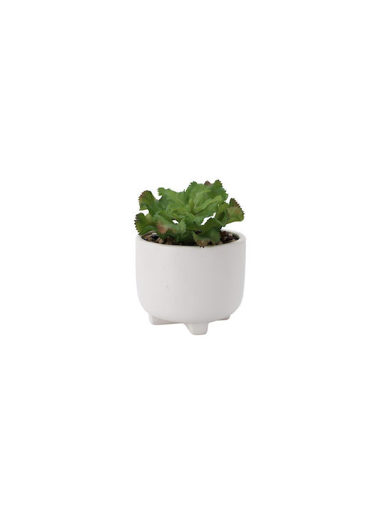 Aria Trade Artificial Plant in Small Pot AT0000666 Green 19cm 1pcs