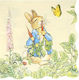 Χαρτοπετσέτες Peter Rabbit Πολύχρωμες 16.5x16.5εκ. 16τμχ