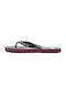 Quiksilver Molokai Wordblock Herren-Flip-Flops Black/Blue/Pink