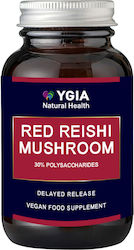 Ygia Red Reishi Mushroom 600mg 60 φυτικές κάψουλες Ygia Red Reishi Mushroom 600mg 60 φυτικές κάψουλες