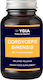Ygia Cordyceps Sinensis 400mg 60 φυτικές κάψουλες
