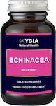 Ygia Echinacea 60 φυτικές κάψουλες