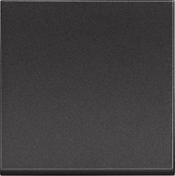 Button 2 Elements Black RG4005M2P BTICINO