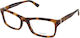 Calvin Klein Κοκκάλινος Σκελετός Καφέ CK7991 218