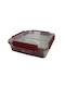 Viomes Keep It Fresco Δοχείο Φαγητού Πλαστικό Κόκκινο 600ml