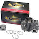 Fuego Racing Motorcycle Pistons & Cylinders Set 53mm for Kawasaki ZX 130 for Modenas X-CITE