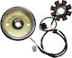 Roc PEOPLE 125 99'-08' Schwungrad Spulen Motorrad 335-08-25100