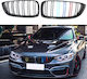 Carner Car Decorative Mask BMW F32 / M4 0029294