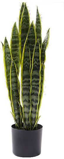 Yucca Растение В Саксия 80см Zaros