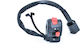 Benelli Motorcycle Switch