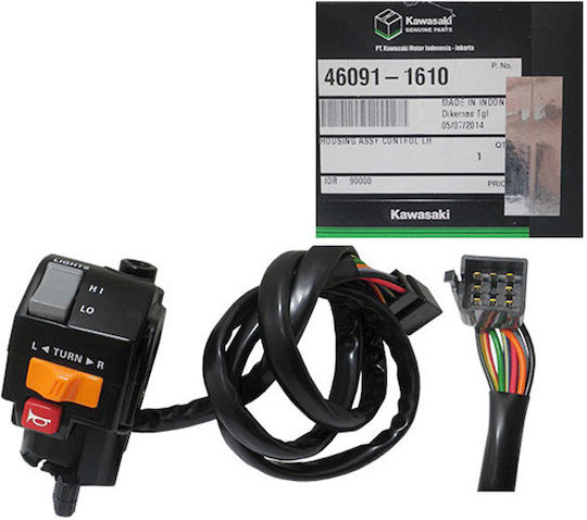 Kawasaki Motorcycle Switch