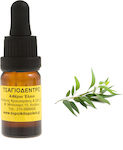 Tea Tree Essential Oil 10ml