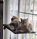 Αιώρα Γάτας Κρεμαστή - Ανθεκτική Υφασμάτινη Διάστ. : 48x38x52 cm