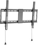 Gembird WM-80F-01 WM-80F-01 Wall TV Mount up to 70kg