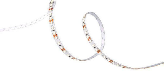 Geyer Waterproof LED Strip 12V Warm White Light 5m with Power Supply
