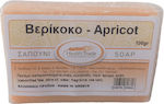 HealthTrade Apricot 100gr