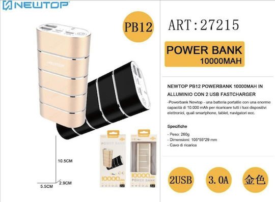 Newtop PB12 Power Bank 10000mAh mit 2 USB-A Anschlüssen Schwarz