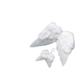 Stafil Angel wings 10cm