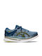 ASICS Metaride Sport Shoes Running Blue