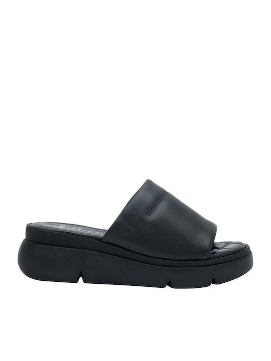 Scholl