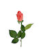 Rose branch 46cm - Coral