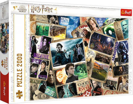 Harry Potter Characters Puzzle 2D 2000 Pieces