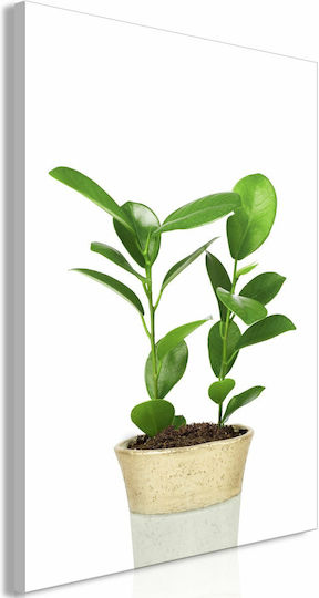 Polihome Plant In Pot Gemälde auf Segeltuch 40x60cm