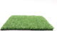 Synthetic Turf in Roll with 2m Width and 15mm Height (price per sq.m)
