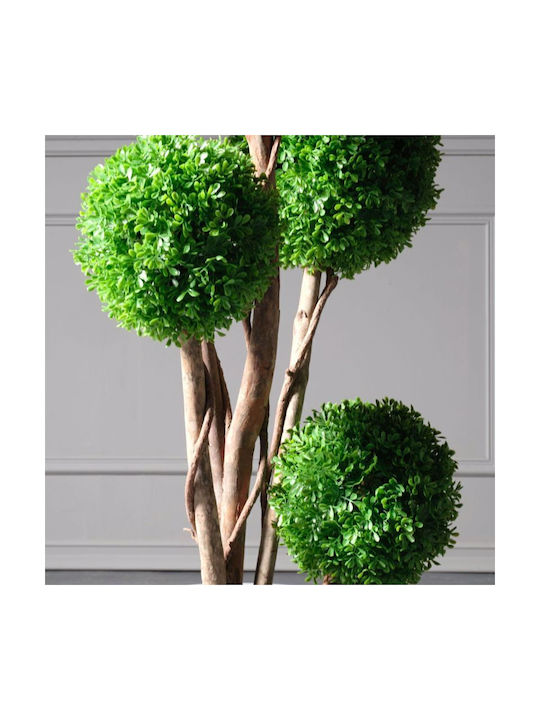 Supergreens Außenterrasse Rosen