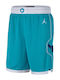 Hornets Icon Edition 2020 Kurze Hosen Aussehen Basketball