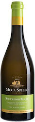 Cavino Mega Spileo Vin Alb Sec 750ml