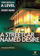 A Streetcar Named Desire, York Notes for A-level