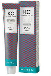 Faipa Perfecta Keratin Color Rosa 100ml