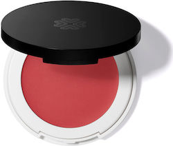 Lily Lolo Rouge Lip & Cheek Azalea 4.5gr Lily Lolo Rouge Lip & Cheek Azalea 4.5gr