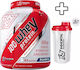 Immortal Nutrition 100% Whey Protein & Schüttler 500ml
