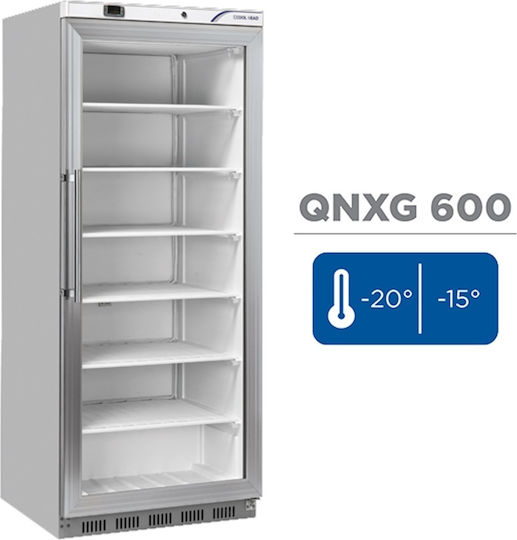 Cool Head Commercial Freezer Display Chamber 600lt 450W Inox Width 78 cm Depth 76.8 cm Height 190.2 cm